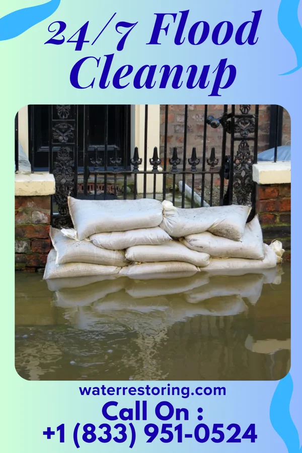 24/7 Flood Cleanup in Ely, NV