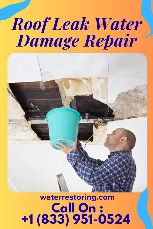 Roof Leak Water Damage Repair in Ely, NV