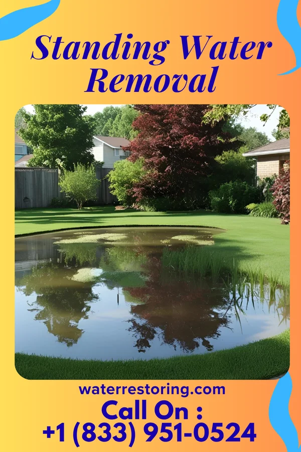 Standing Water Removal in Ely, NV